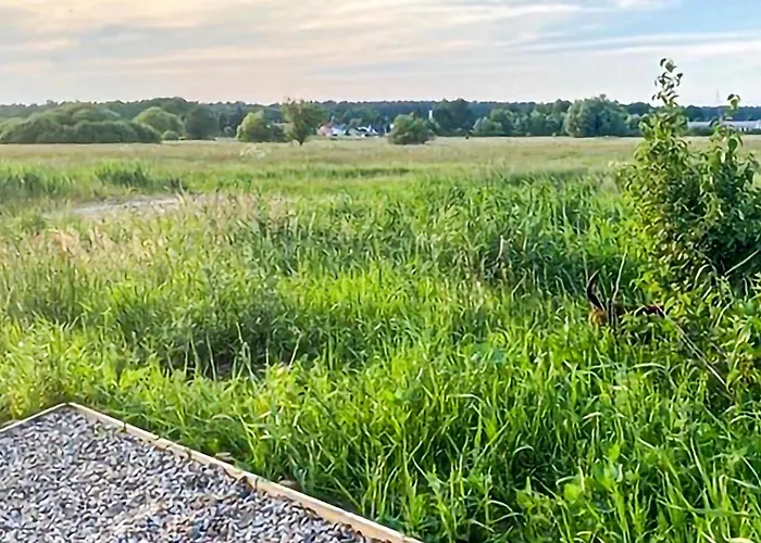 Cozy In With Wifi Zerpenschleuse