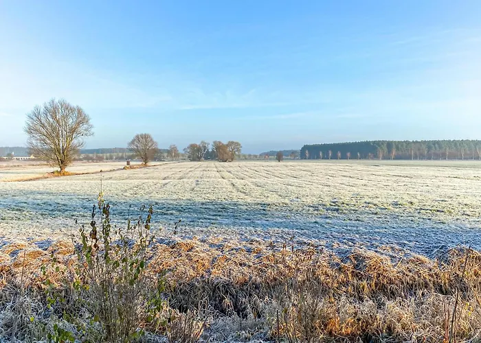 Tatil Evi Cozy In With Wifi